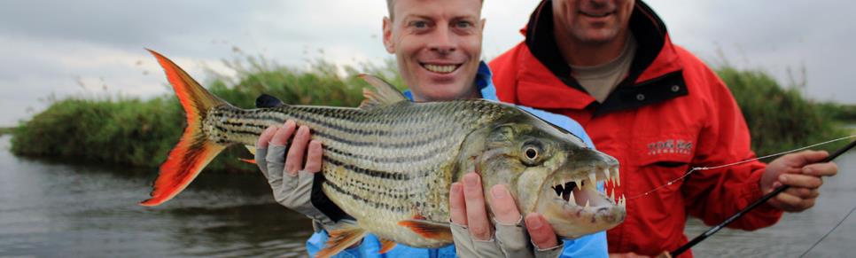 amazing fish - tigerfishfishingholidaystanzania1.jpg